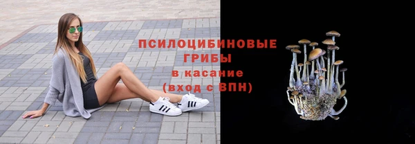 экстази Касимов