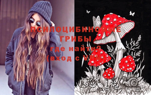 экстази Касимов
